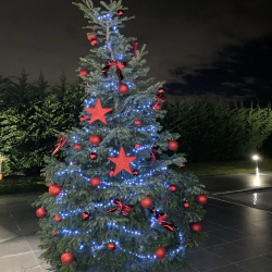 noel_1