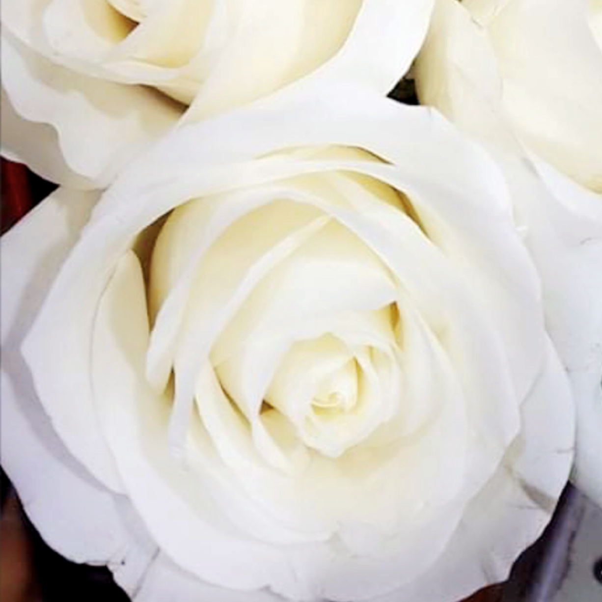 Le rêve d'une fleur à Rillieux-la-pape Découvrez la boutique Le rêve d'une fleur